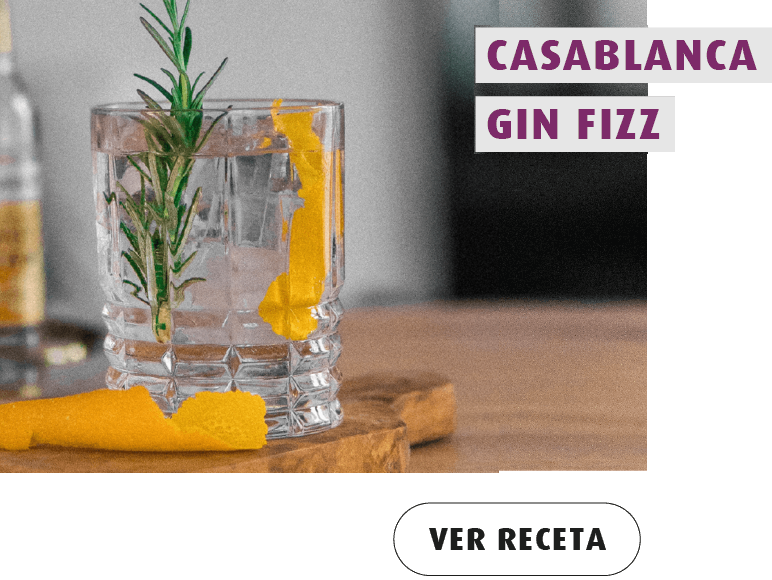 receta_gin_fizz_mini